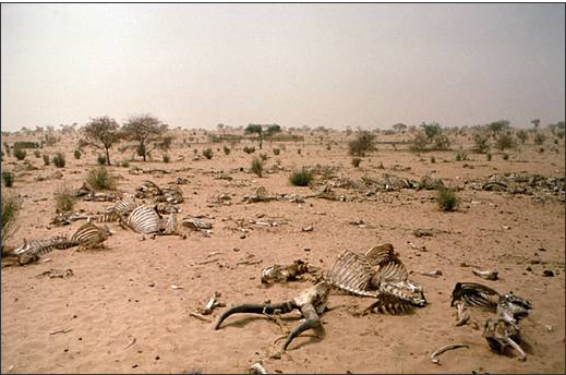 Sahel_region_hostile_la vie_mali_mauritanie_niger_algérie